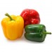 BELL PEPPER